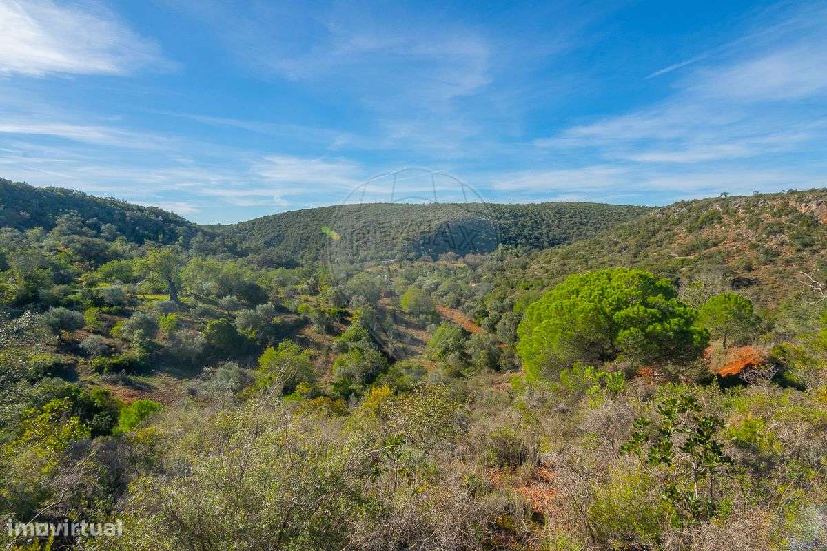 Moradia T2 para venda - Grande imagem: 5/39