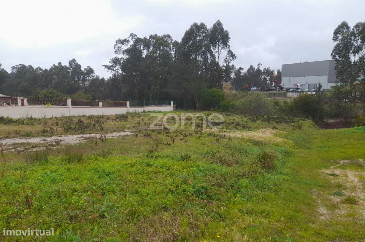 Terreno para Investimento - Grande imagem: 5/39