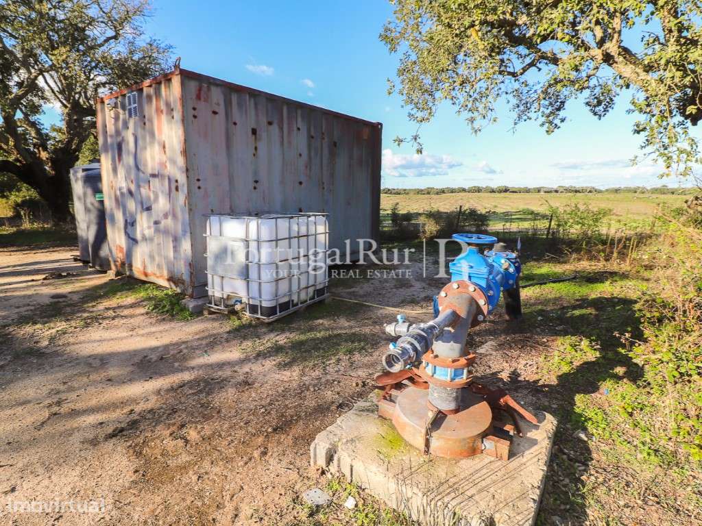 Herdade de 60 hectares para criação bovina e equina perto de Lisboa-45