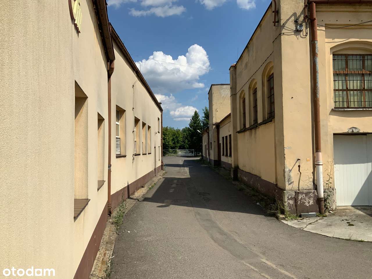 Hurtownia, piekarnia, magazyny Lubań - Pełny obrazek: 5/8