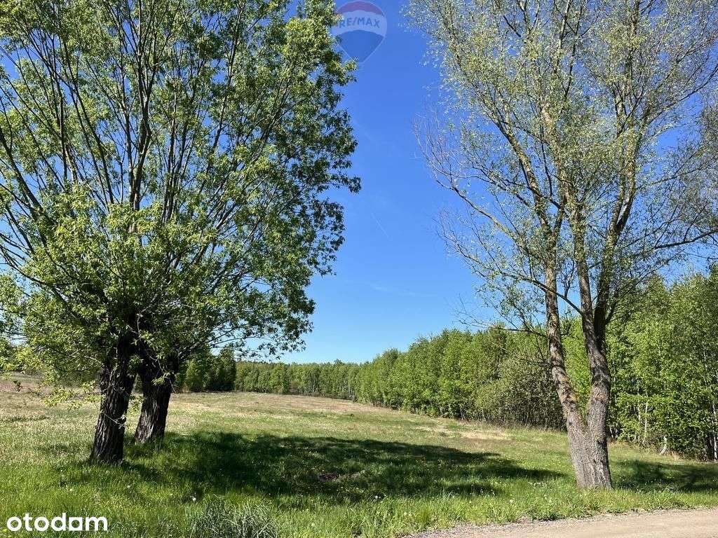 Działka siedliskowa - Pełny obrazek: 5/20