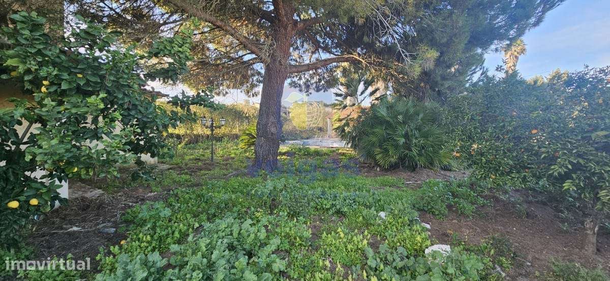 Moradia T3 Cartaxo-9