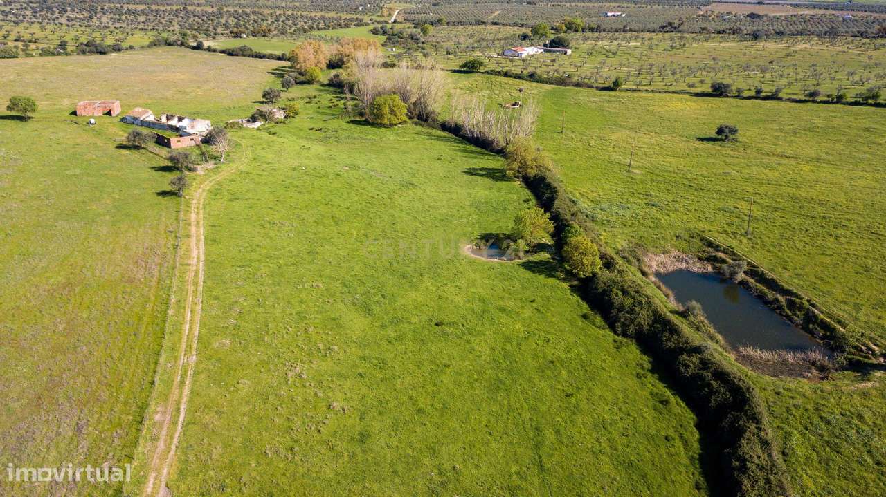 Terreno em Mourão - Alentejo-8