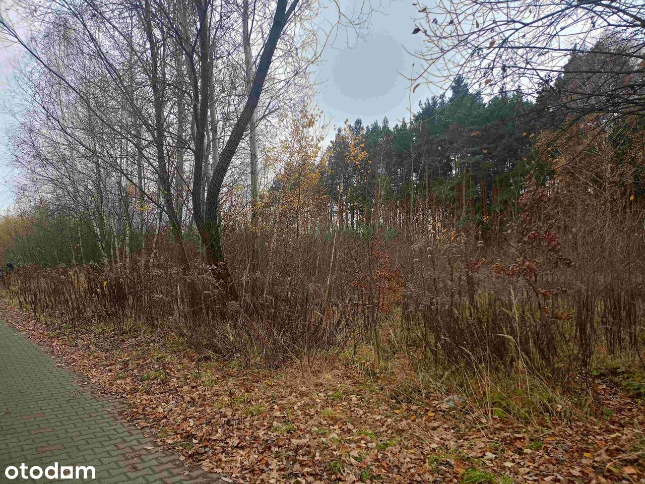 Działka usługowo-budowlana z przeznaczeniem na parking lub budowę domu-5