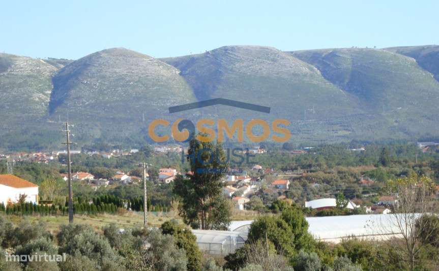 Moradia T2 c/ 6546 m2 terreno - Serra Candeeiros-35