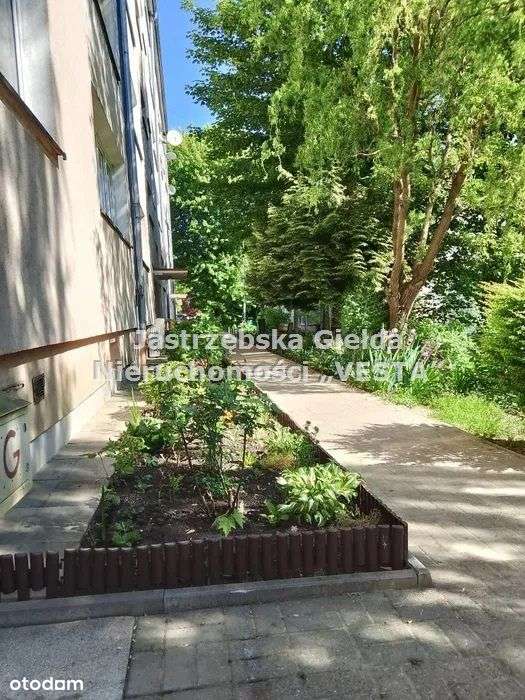 Apartment in Jastrzębie-Zdrój - View 2