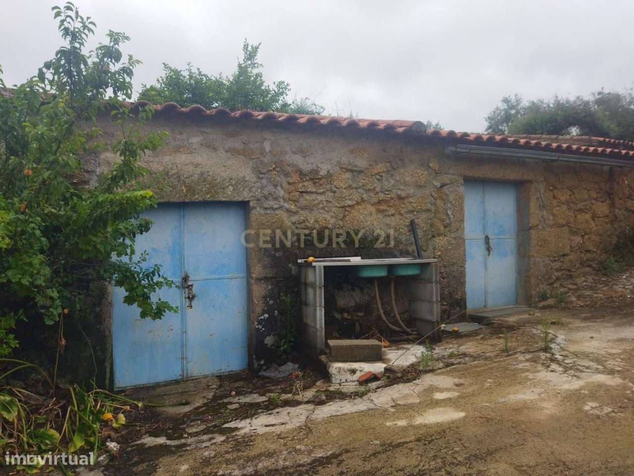 Terreno Rústico na Lousa, Castelo Branco-15