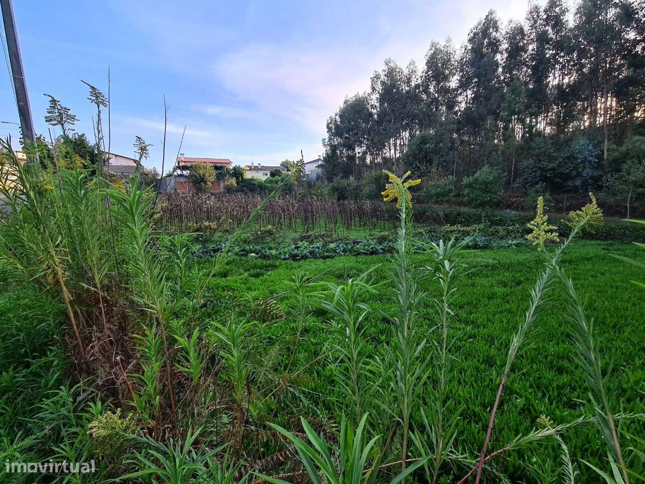 Terreno com Viabilidade de Construção de Moradias-3