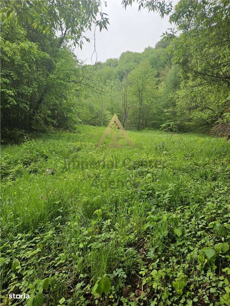 TEREN  PENTRU BUSSINESS 2842 MP DE VANZARE IN STATIUNEA  TARGU OCNA - Imagine principală: 5/10