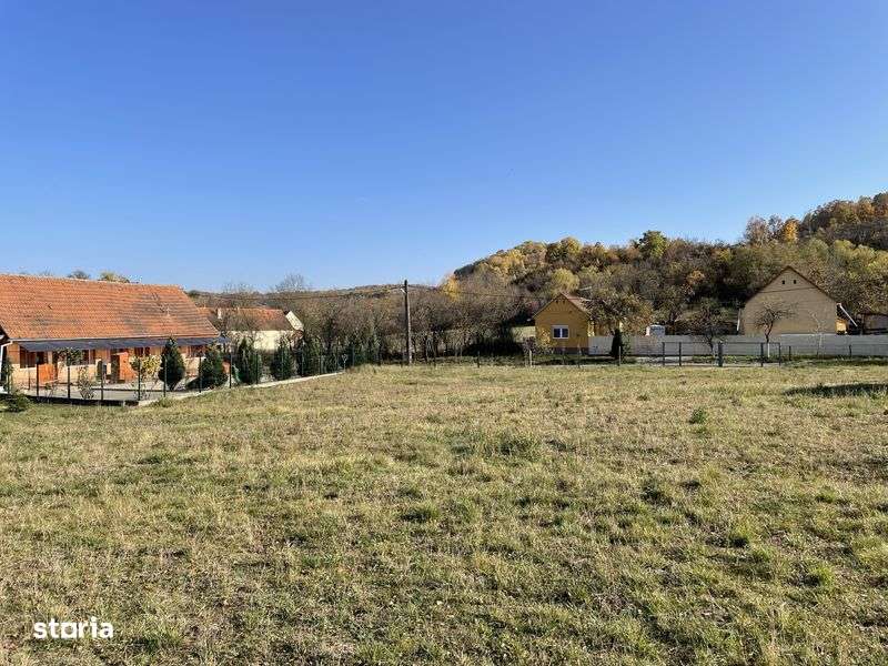 Teren Buzad Bodga Timis - Imagine principală: 4/8