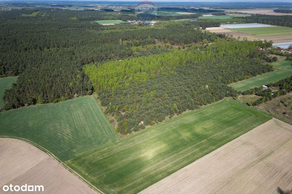 Działki z warunkami zabudowy w Nowej Wronie - Pełny obrazek: 4/12