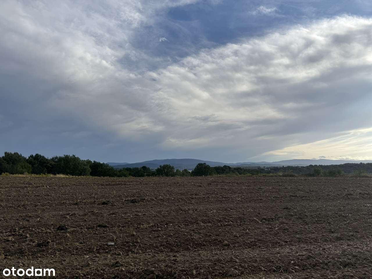 Dziekanowice - duża działka budowlana-5