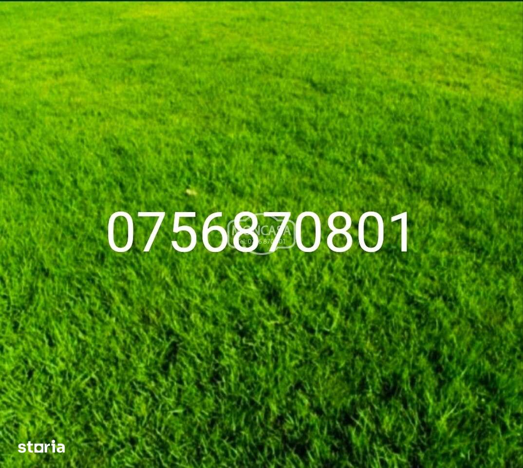 Teren intravilan  in Catamarasti Deal , zona RAR - Imagine principală: 1/1