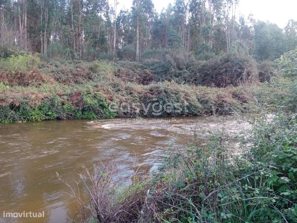 Excelente Terreno Rústico de 30200 m2 na freguesia de Castelo Branco - Grande imagem: 4/18
