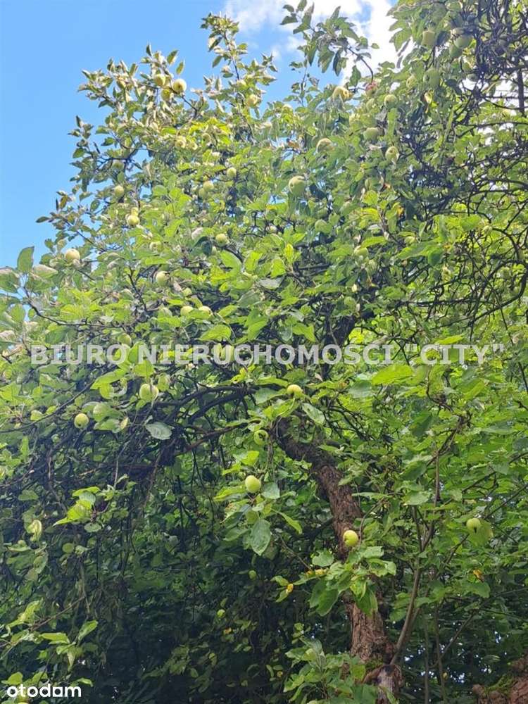 Działka, 1 879 m², Będzin - Pełny obrazek: 2/7