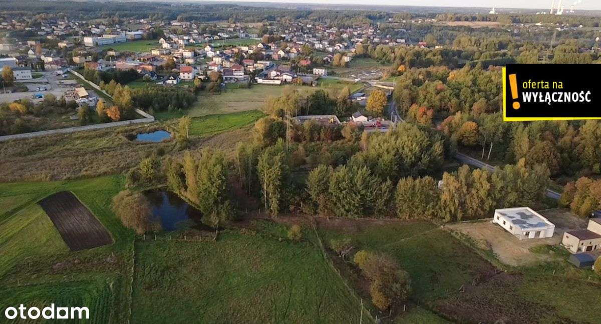 Duża działka budowlana z własnym dojazdem – cisza, - Pełny obrazek: 5/7