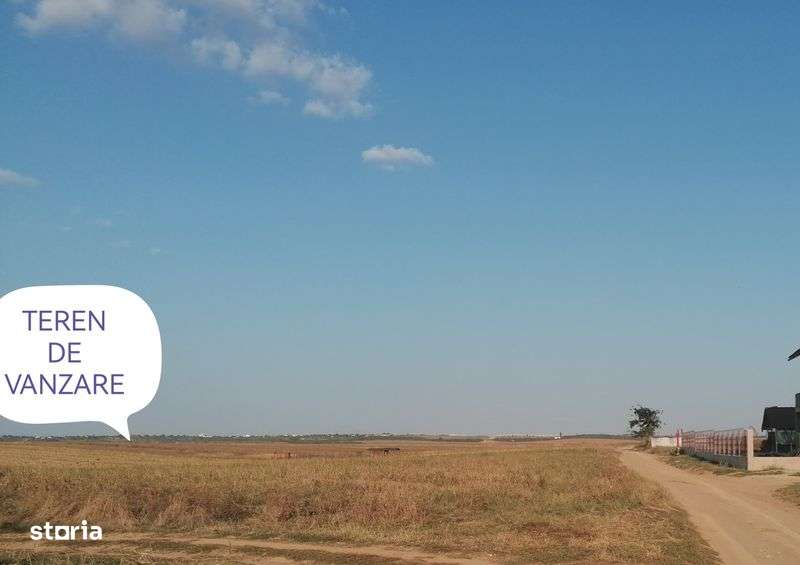 Teren extravilan, PRET NEGOCIABIL - Imagine principală: 2/2