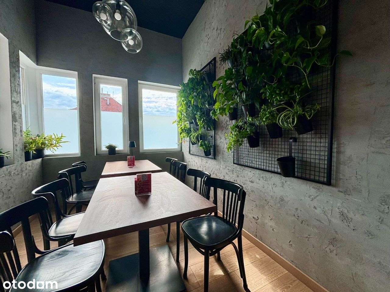 Lokal w centrum ! na parterze - Pełny obrazek: 4/8