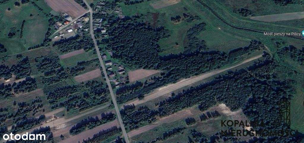 Działki rolne i tereny leśne/Wąsosz/Koniecpol! - Pełny obrazek: 2/19