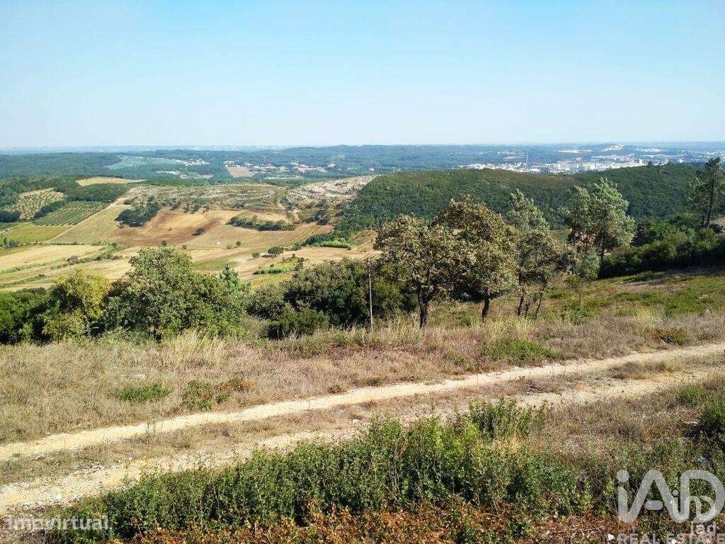 Terreno para construção em Rio Maior - Grande imagem: 3/19