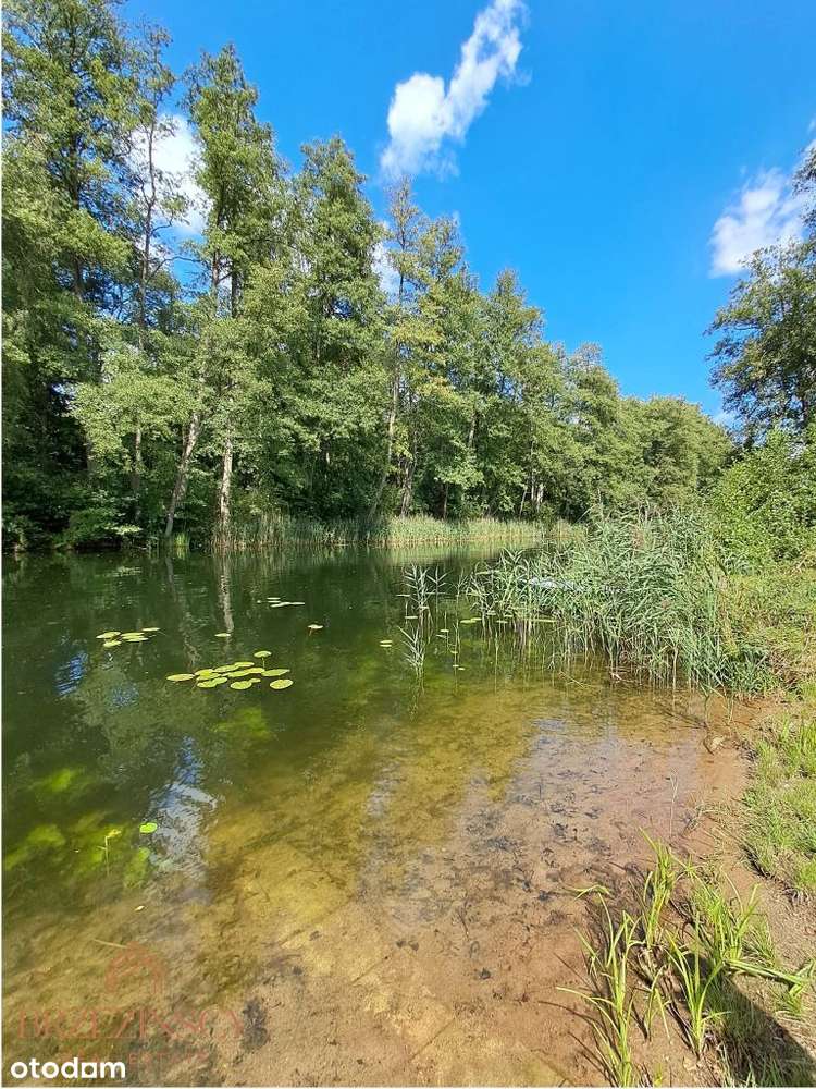 PIĘKNA DZIAŁKA NAD JEZIOREM! 10 metrów do wody! Super cena!-4