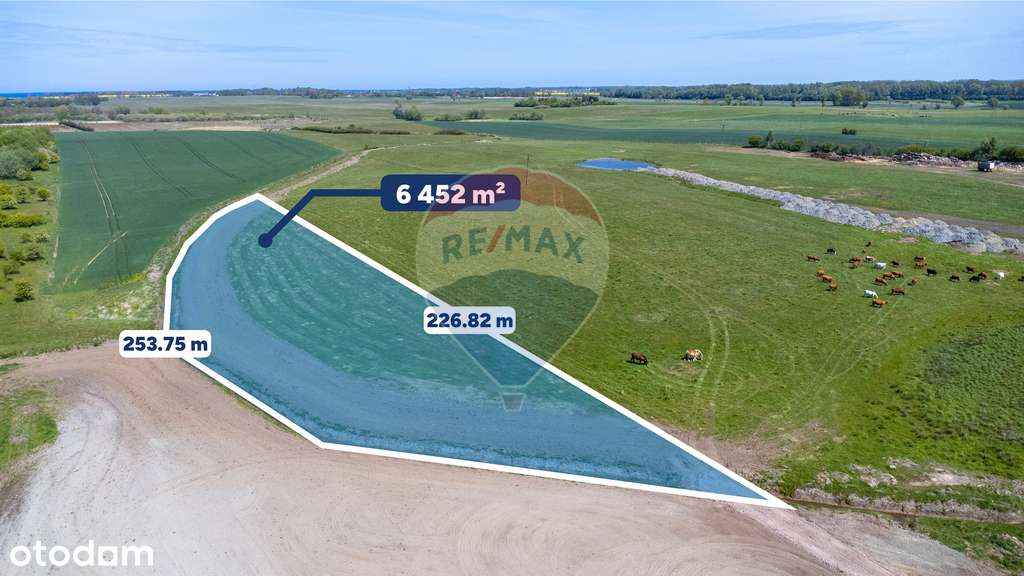 Działka na sprzedaż – 6452 m², Śmiechów k. Gąsek - Pełny obrazek: 4/11