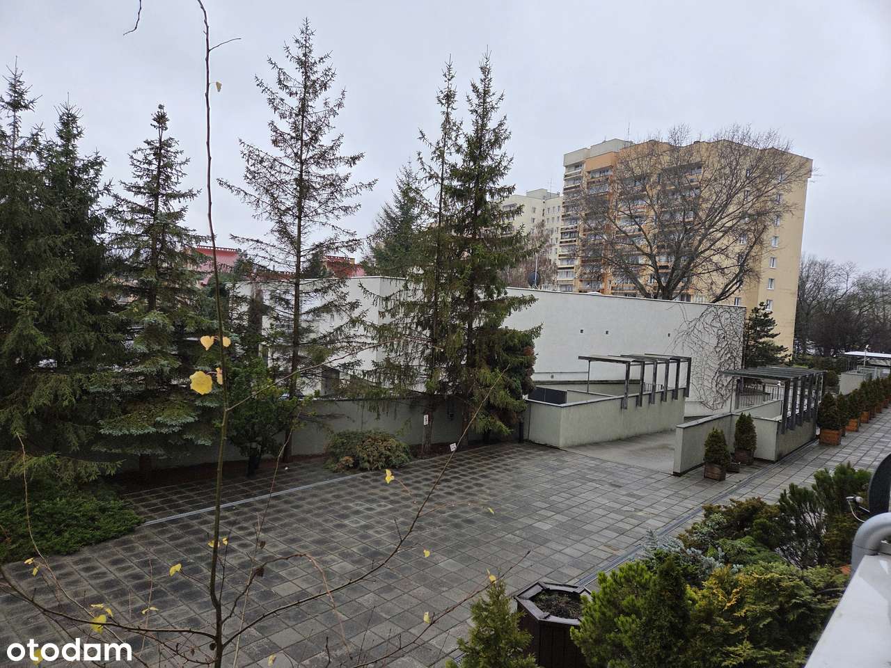 3 pokoje | 76,7 m² | loggia | garaż | Saska Kępa | budynek 2005 - Pełny obrazek: 5/20