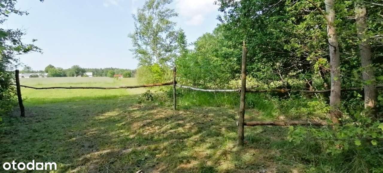 Działka z WZ, powiat pabianicki,gm. Lutomiersk,Franciszków, 2700 m2 - Pełny obrazek: 4/8