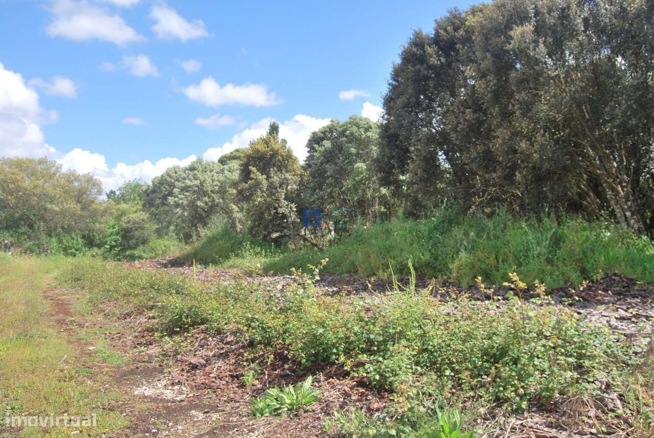 Terreno para construção em Fatima no lugar de Châ - Grande imagem: 3/20