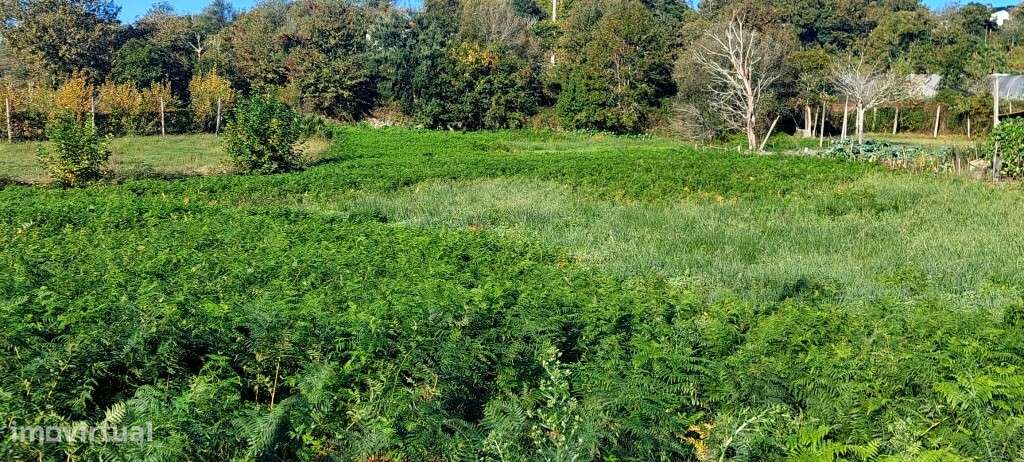 Terreno Rústico - Fiscal - Grande imagem: 4/5