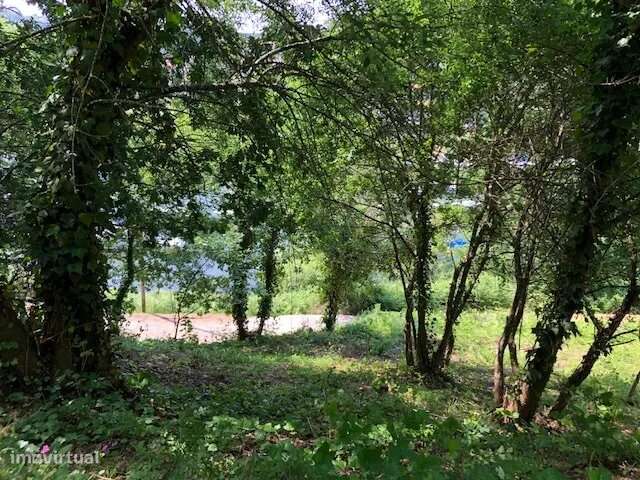 Terreno junto ao Rio Douro em Medas, Gondomar - Grande imagem: 4/10