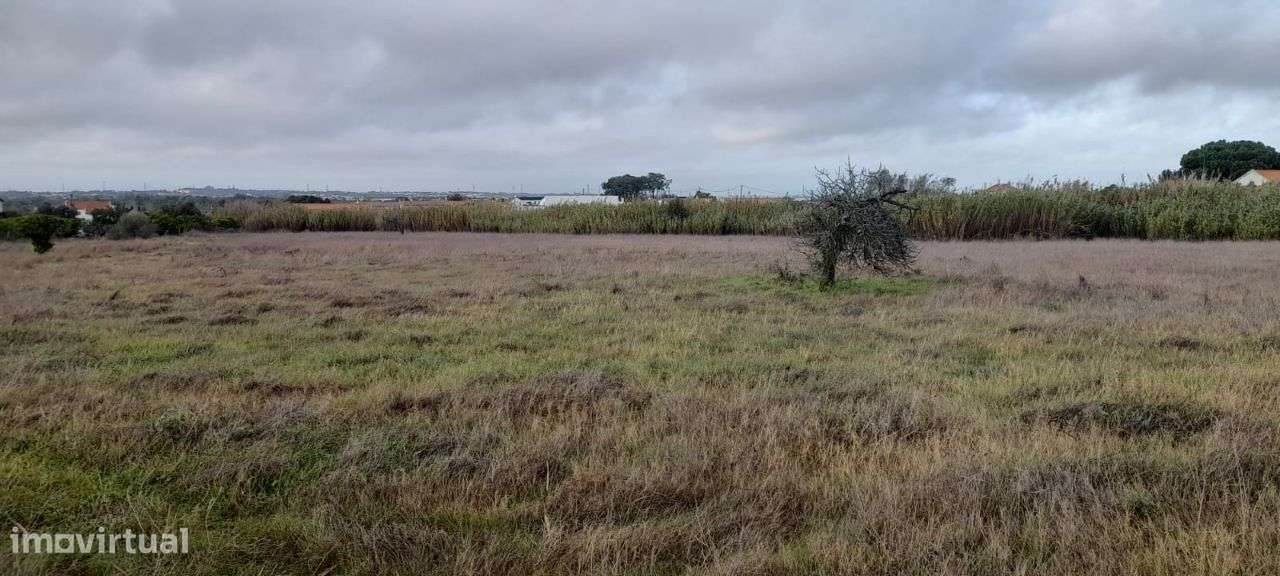 Palmela/ Cabanas Terreno com 1,5 Ha para construção de moradias.-6