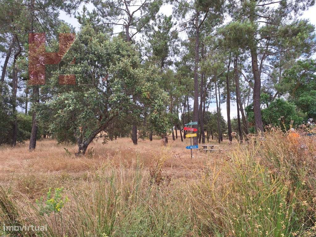 Moradia totalmente remodelada em Benavila, Avis-22