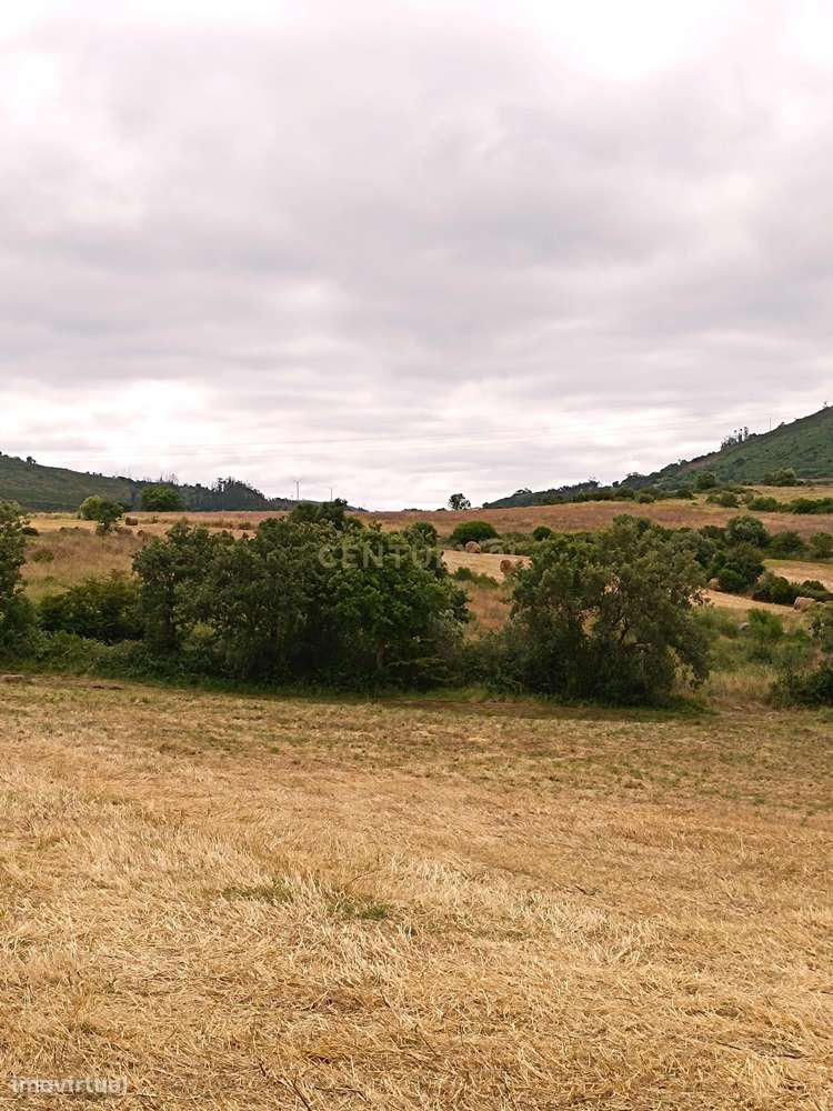 Vende-se Terreno Rústico com Vista Deslumbrante em Zona Agroflorestal - Grande imagem: 5/14