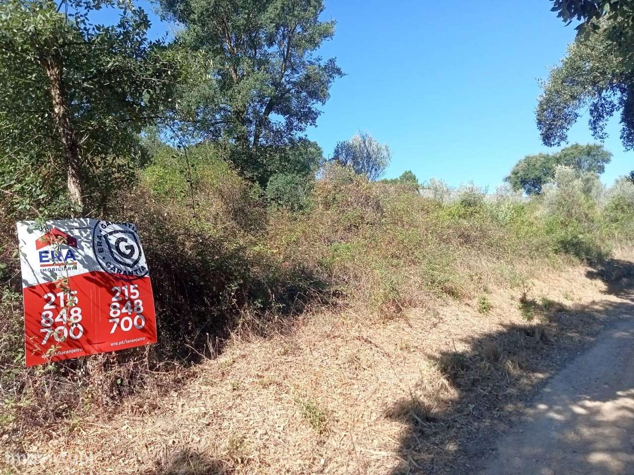 Terreno, 5 640 m², União de Freguesias da cidade de Santarém - Grande imagem: 4/4