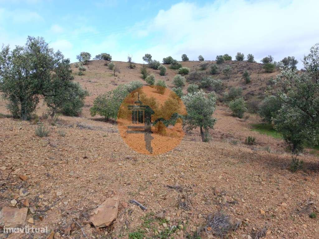 TERRENO RÚSTICO COM 5.640 M2 EM ALCARIAS GRANDES - CASTRO MARIM - A... - Grande imagem: 4/25