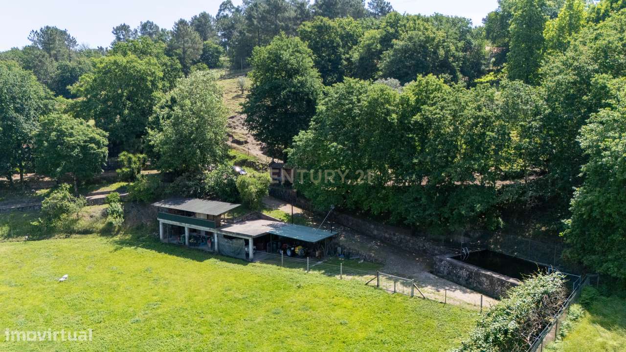 Quinta de Luxo de Vinho e Natureza com Potencial de Expansão perto do-34