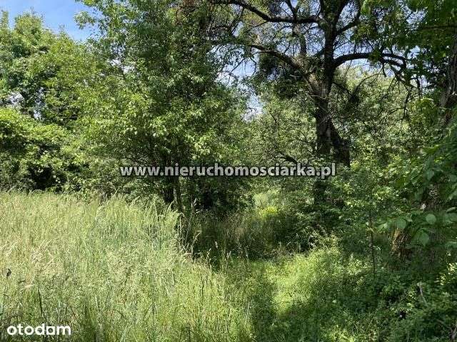 Działka budowlana 13 arów Kokoszyce ul. Smolna - Pełny obrazek: 3/8