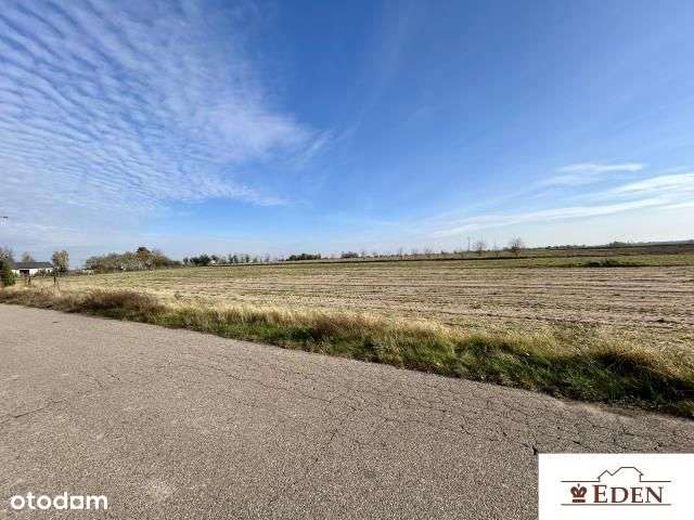 Na sprzedaż działki w  m. Tończa-Janówki, gm. Liw, pow. węgrowski. - Pełny obrazek: 5/6