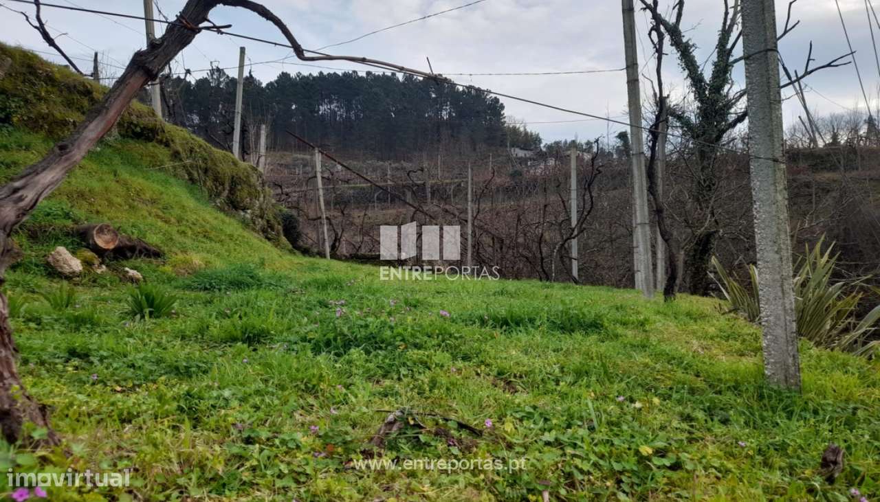 Venda Terreno, Gouveia (São Simão), Amarante - Grande imagem: 5/30