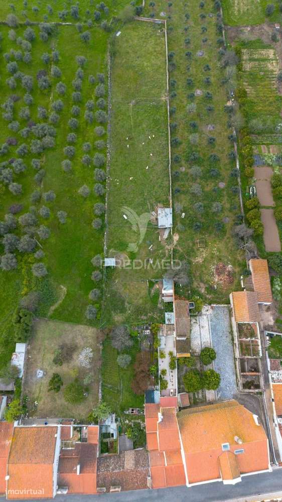 3 Moradias com Logradouro de 2750m2, em Bencatel - Grande imagem: 4/33