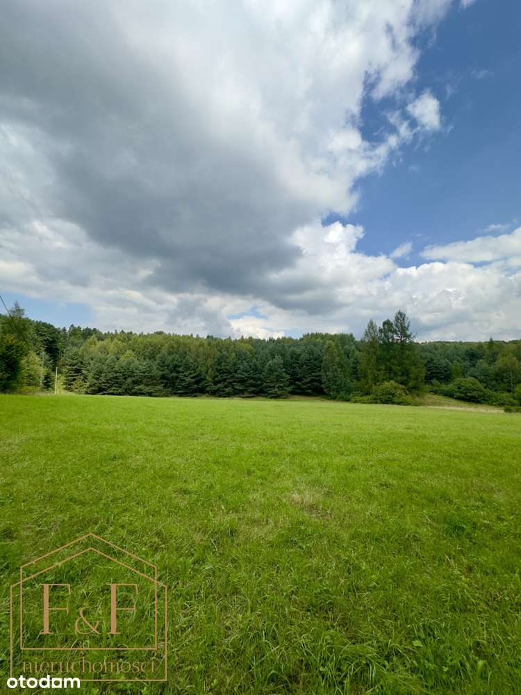** Działka pod zabudowę w samym sercu lasu **-5