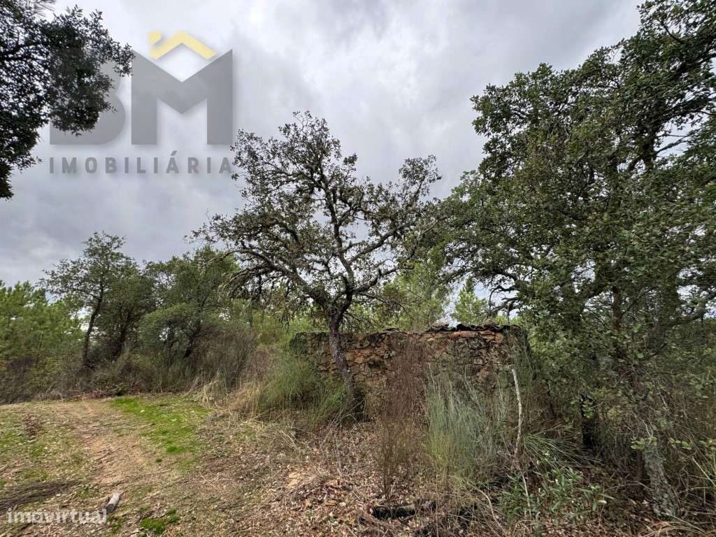 Quinta com 18.000m2 para venda em Freixial do Campo! - Grande imagem: 4/16