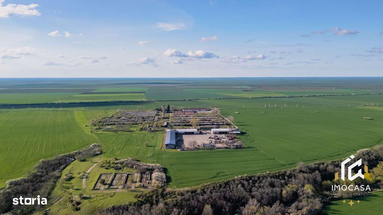 De vanzare Complex Zootehnic Suine Jud. Arad SU 15.30ha, Ferma, Grajd - Imagine principală: 4/15