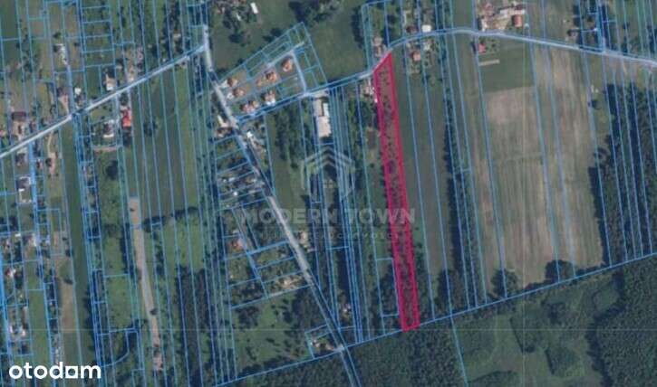 Działka 14 600m2, Orzeszyn - Pełny obrazek: 2/3