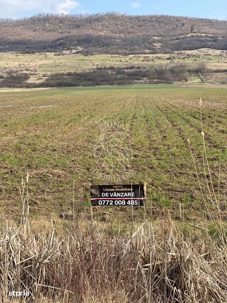 Teren Intravilan-3750mp- zona in plina dezvoltare-Podirei - Imagine principală: 5/5