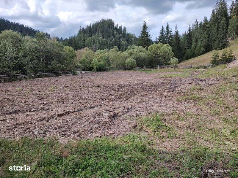 Vand doua  parcele la munte  in Bucovina - Imagine principală: 4/4