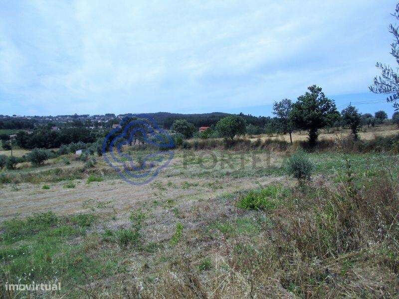 Terreno agrícola com 4.280 m2 a 5 minutos da Aldeia de Dornes, centro - Grande imagem: 4/15