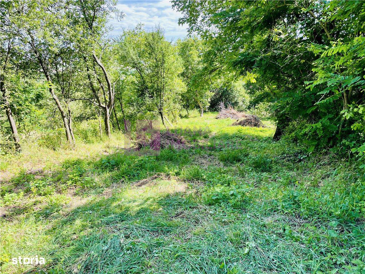 Teren 3581 mp | Marginimea Sibiului | priveliste superba - Imagine principală: 5/11