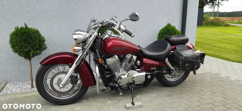 Honda Shadow - 4